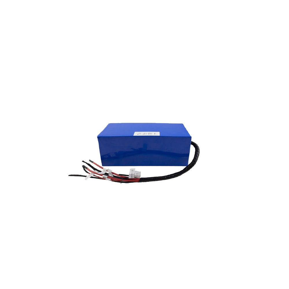 蓝狮-40℃锂电池低温18650模组定制RS485通讯36V5A特种电源厂家